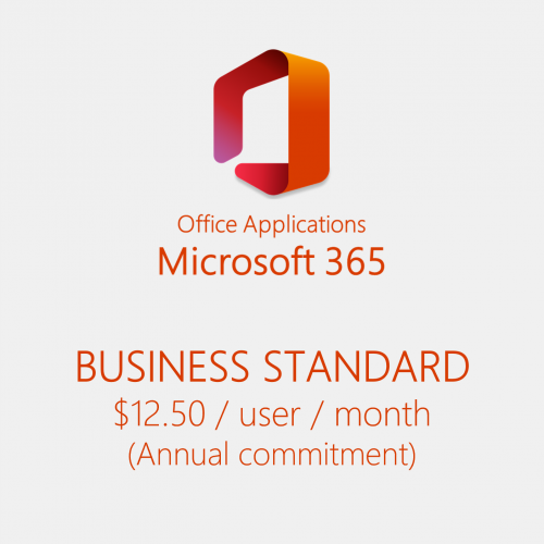 Microsoft 365 Business icon standard license